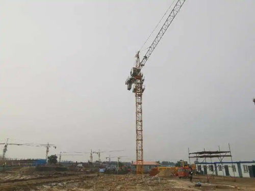 查干湖生態(tài)小鎮(zhèn)兩館建設(shè)工程正式開工，開啟文旅融合新篇章